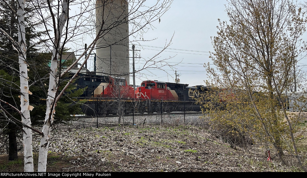 CN 3005 and CN 8903